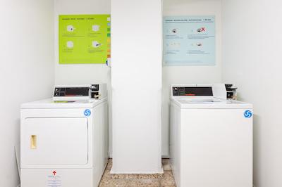 دراگوز دل نرت