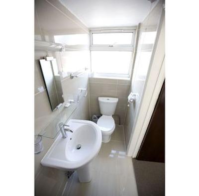 کینگ سولومن