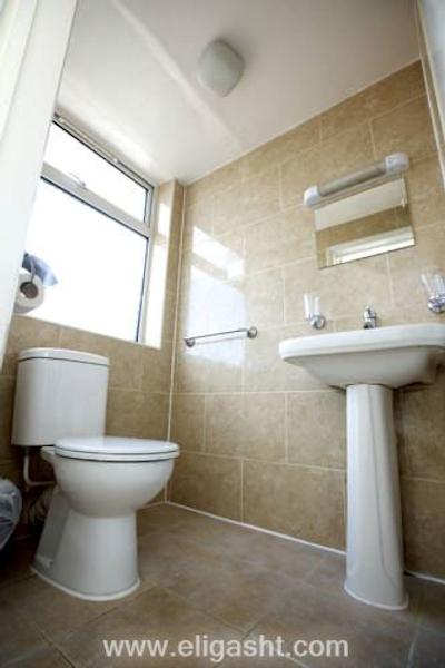 کینگ سولومن