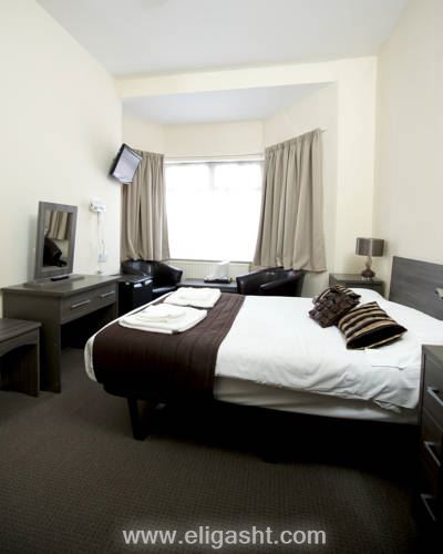 کینگ سولومن