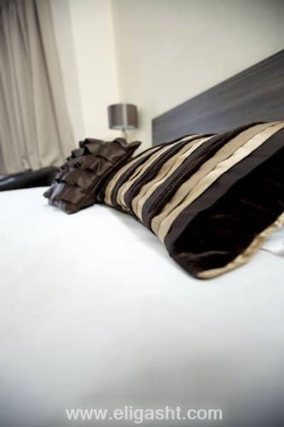 کینگ سولومن