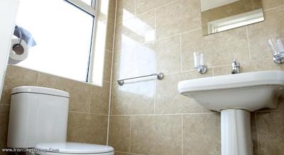 کینگ سولومن