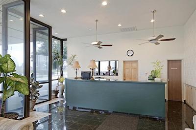 اسپرینگفیلد این