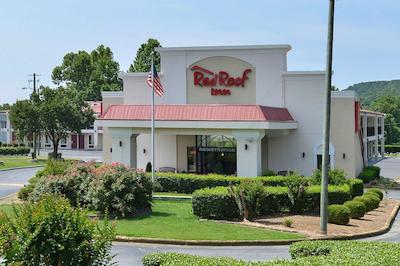 رد روف این دالتون