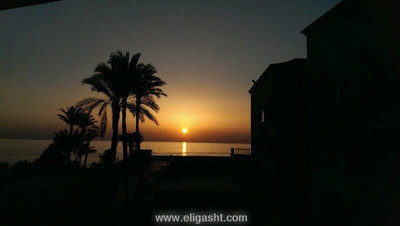 فور استارز