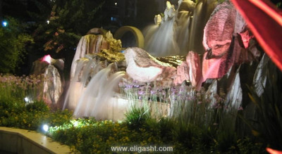 فور استارز