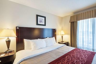 کمفرت این اند سویتز