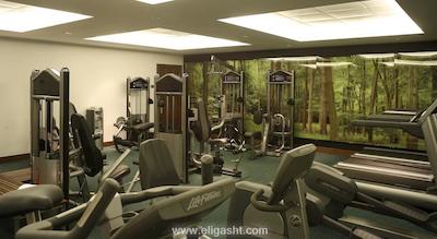 پارک پلازا کانتی هال