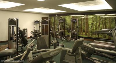 پارک پلازا کانتی هال