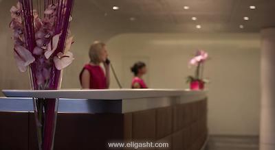 پارک پلازا کانتی هال