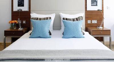 پارک پلازا کانتی هال