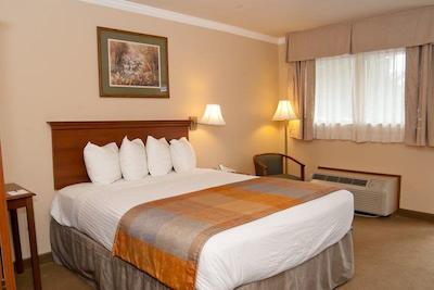 بست وسترن کلرمنت