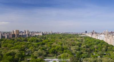 سنترال پارک هتل