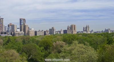 سنترال پارک هتل