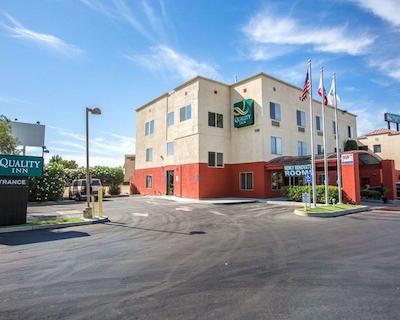 کوالیتی این