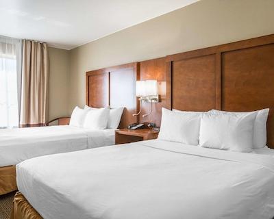 کوالیتی این