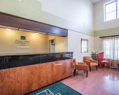 کوالیتی این