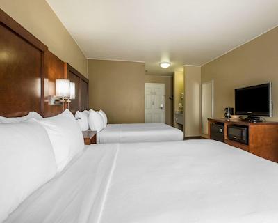 کوالیتی این