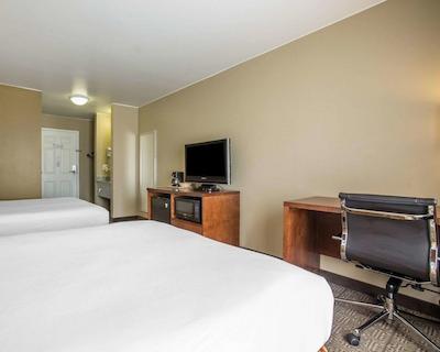 کوالیتی این