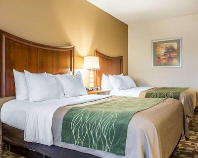 کمفرت این اند سویتز