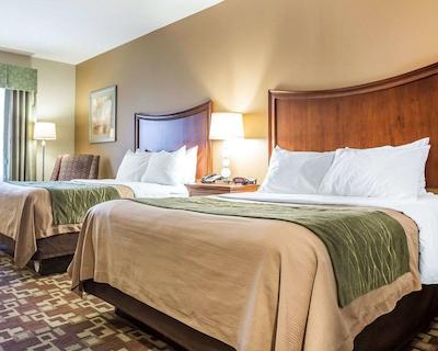 کمفرت این اند سویتز