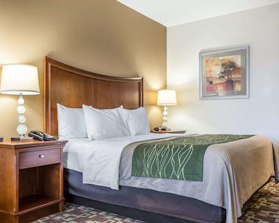 کمفرت این اند سویتز