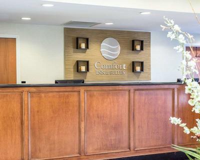 کمفرت این اند سویتز