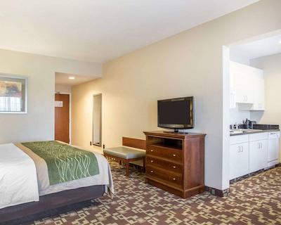 کمفرت این اند سویتز