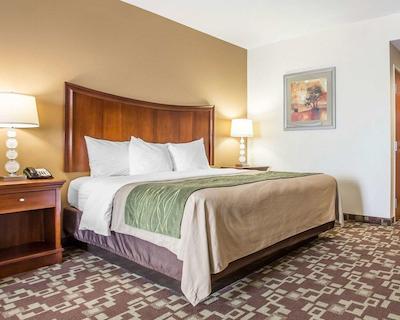 کمفرت این اند سویتز