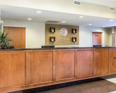 کمفرت این اند سویتز