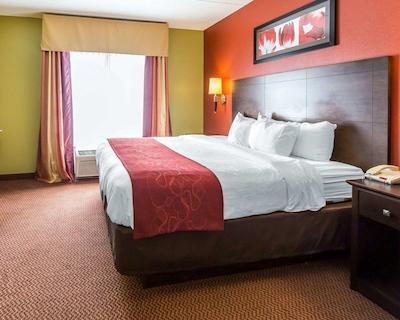 کمفرت سویتز ایست