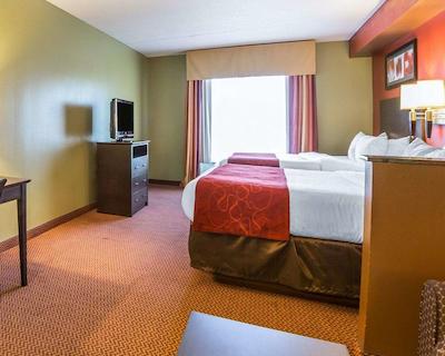 کمفرت سویتز ایست