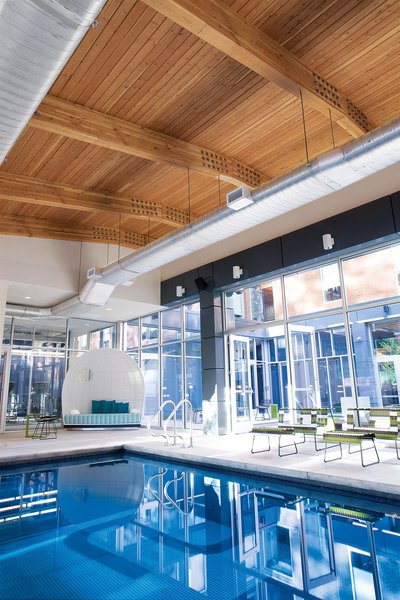 آلفت لکسینگتون