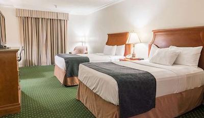 میسُن دوپوی