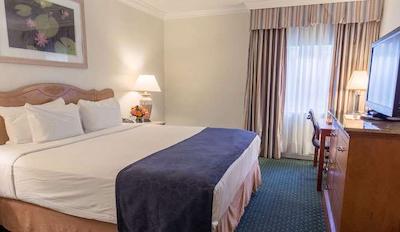 میسُن دوپوی