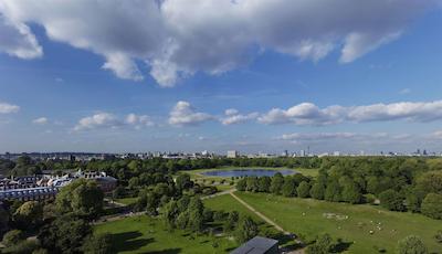 رویال گاردن