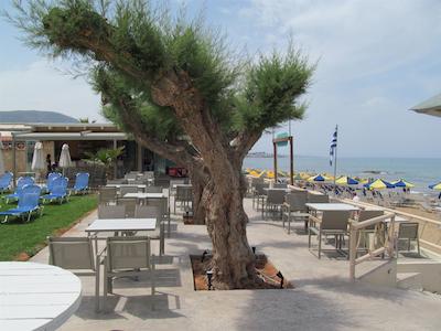 مالیتاکیز بیچ هتل