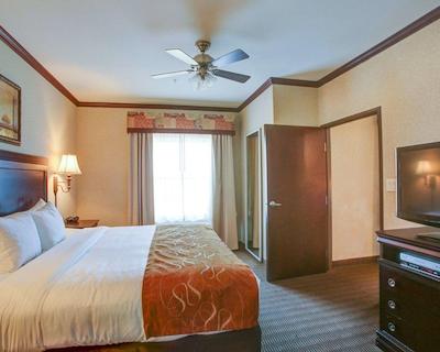 کمفرت سویتز ونیورسیتی دریو