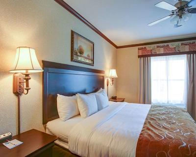 کمفرت سویتز ونیورسیتی دریو