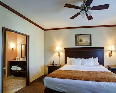 کمفرت سویتز ونیورسیتی دریو