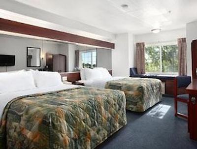 دز این گریلی