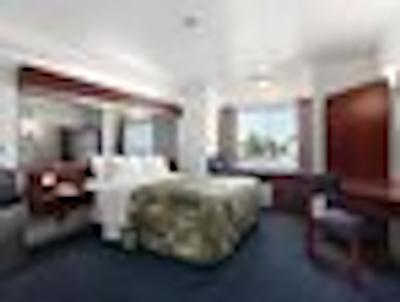 دز این گریلی