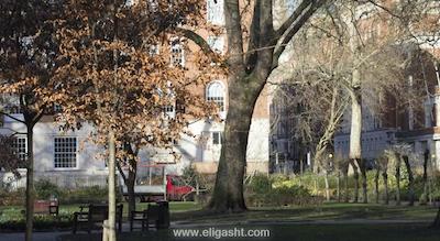 پولمن لندن اس تی پانکراس