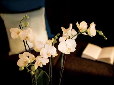 پولمن لندن اس تی پانکراس