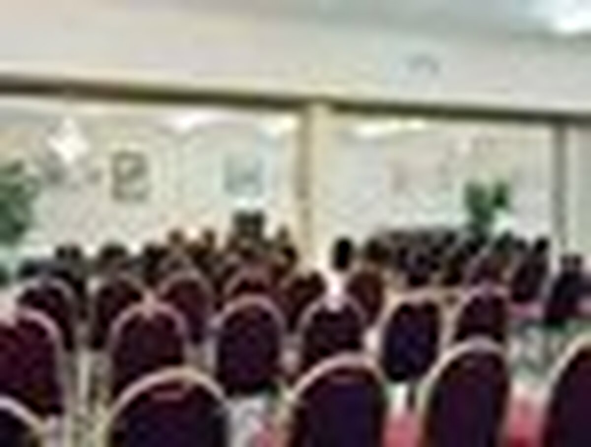 نایتز این آلوین