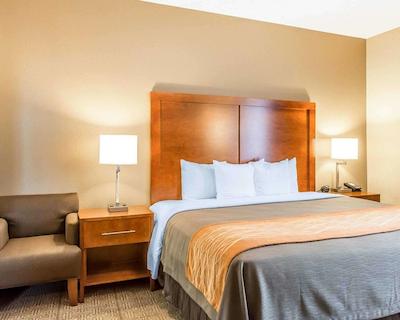 کمفرت این نرد/پلاریز