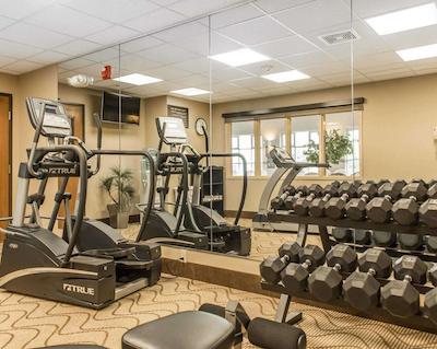 کمفرت این نرد/پلاریز