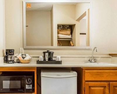 کمفرت این نرد/پلاریز