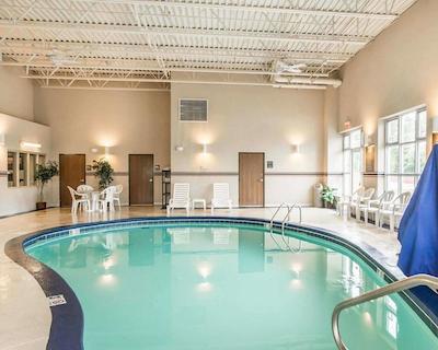 کمفرت این نرد/پلاریز