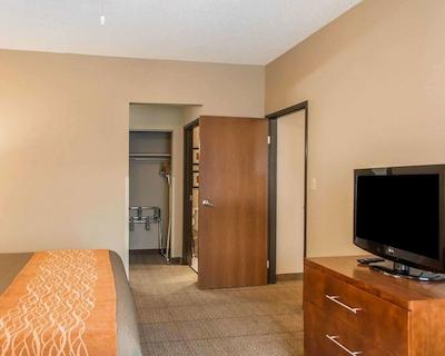 کمفرت این نرد/پلاریز